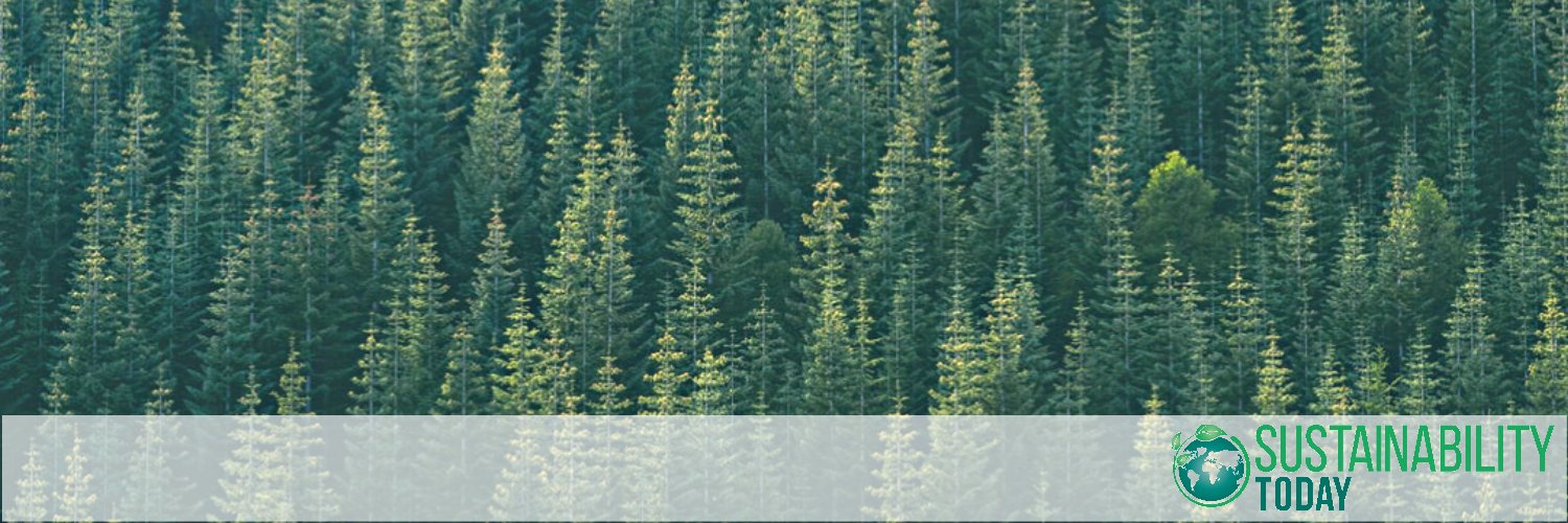 Sustainability Today banner