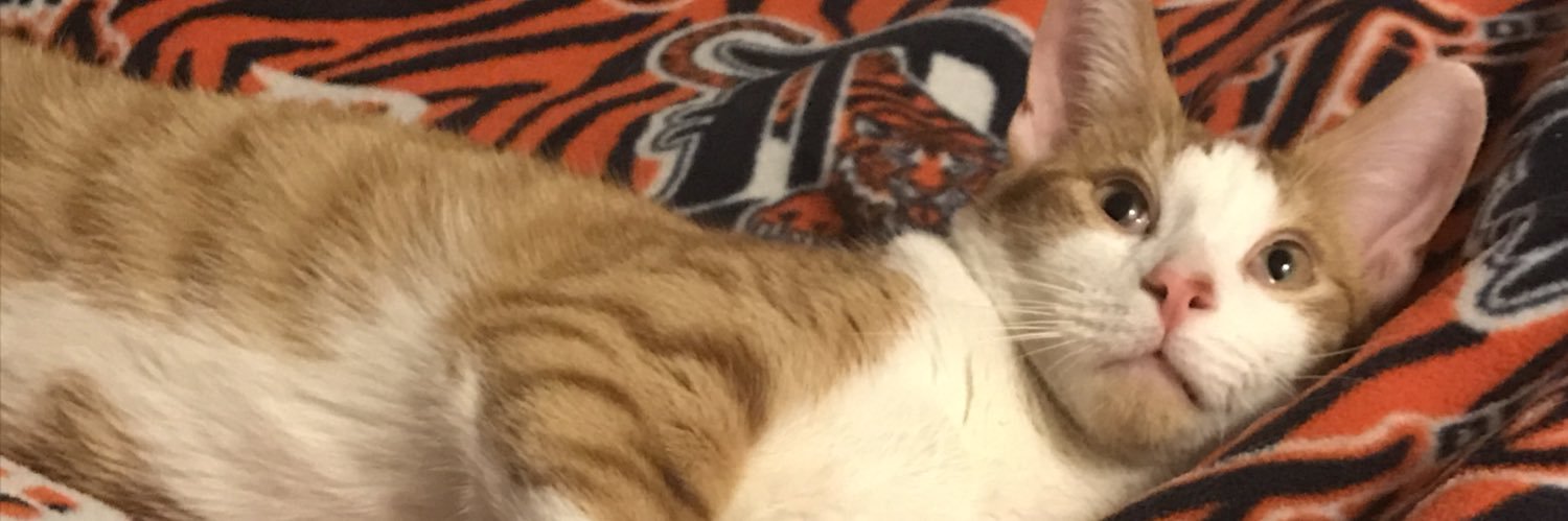 monicafalls10's profile banner image