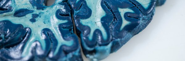 ImperialBrains Profile Banner