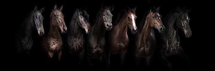 EHSANPOLAT's profile banner image