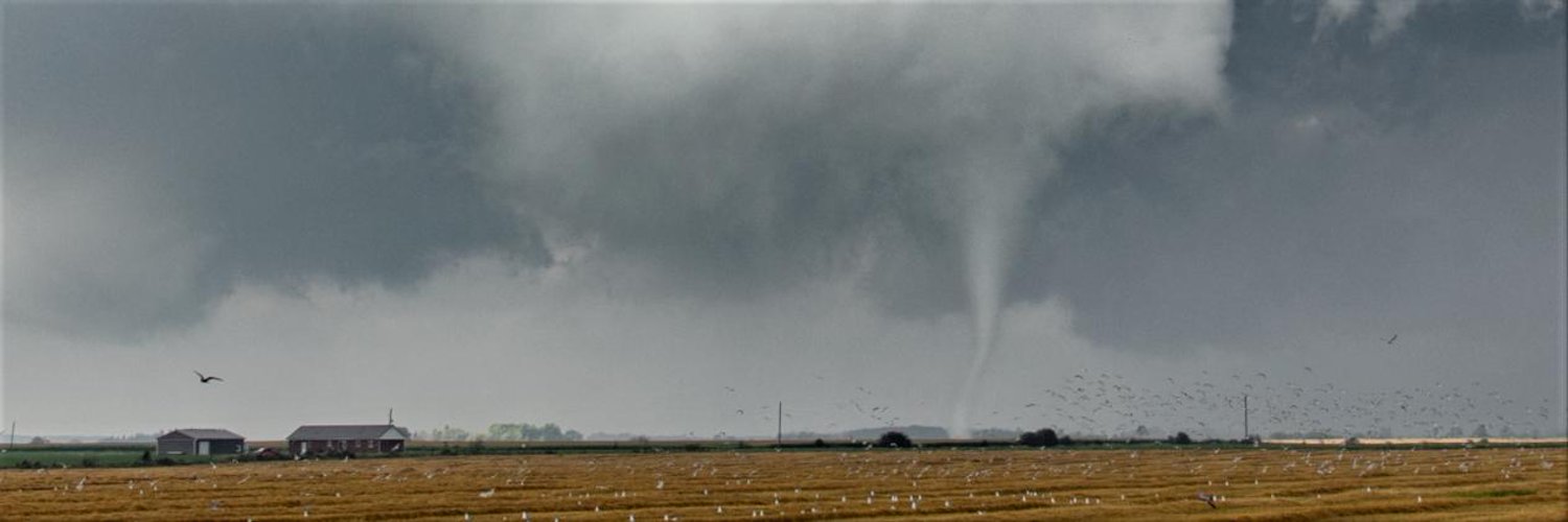 Northern Tornadoes Project 🇨🇦 Profile Banner