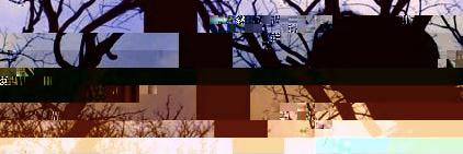 DesireeAditya's profile banner image