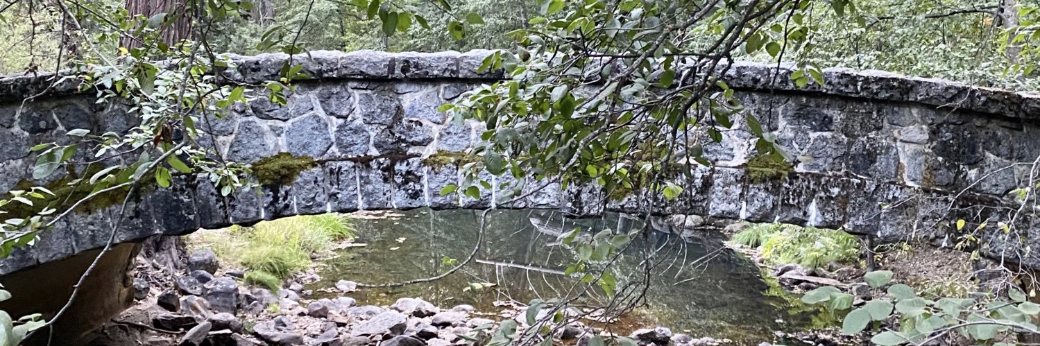 childish branzino banner