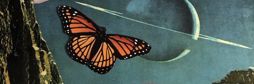 seeulaterbee's profile banner image