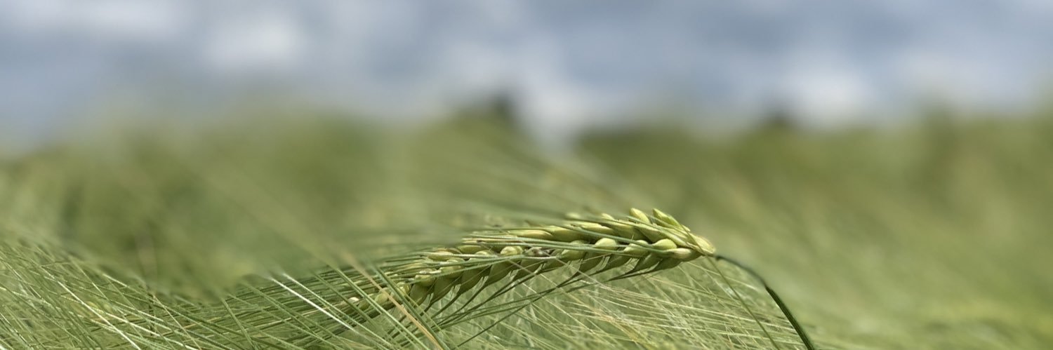 bakfra's profile banner image