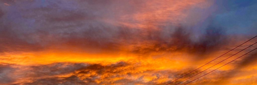 polunnga1007's profile banner image