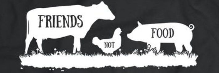 joolsjohnson79's profile banner image