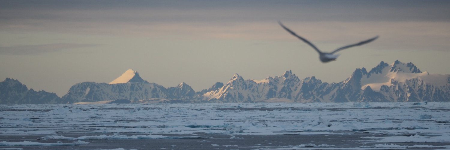 Polar_Harto's profile banner image
