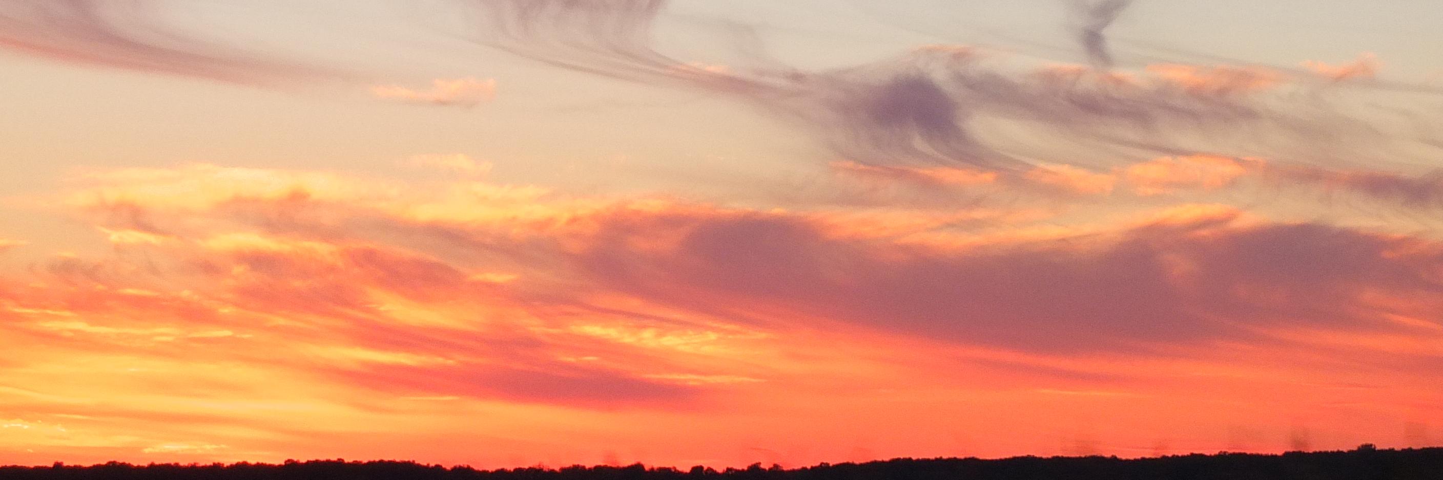 RodneyNLynch's profile banner image