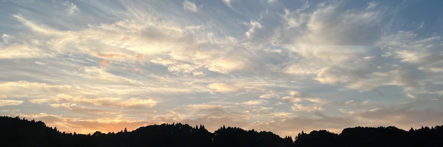 田中里奈 banner