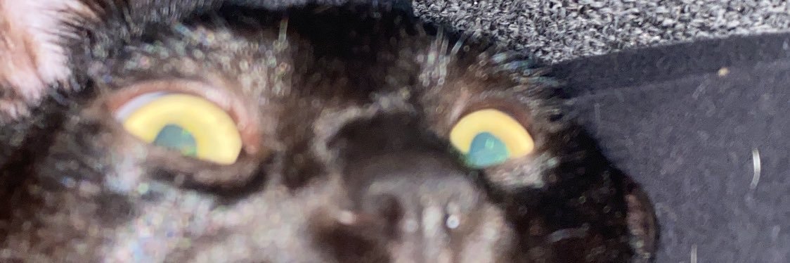 ChrisCodyJr's profile banner image