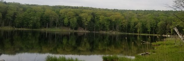 DeepikaDevuniMD Profile Banner