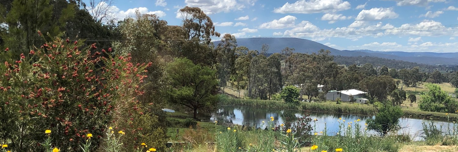 Annette Cowie banner
