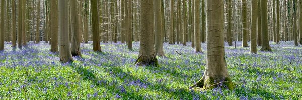 michaelmarcozzi Profile Banner