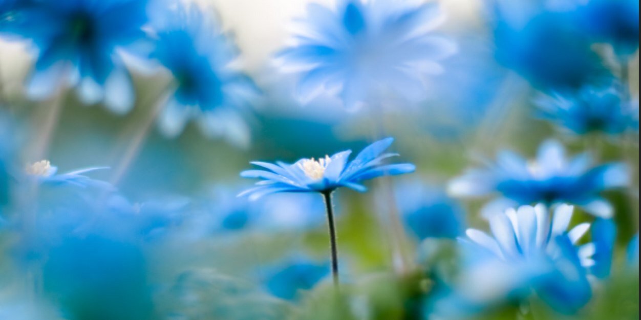 KMClarkAuthor's profile banner image