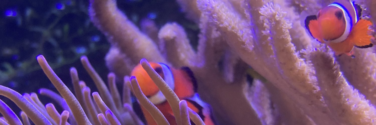 Coltan G. Parker banner