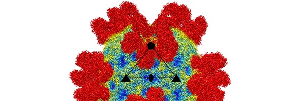 VogtVirusLab Profile Banner