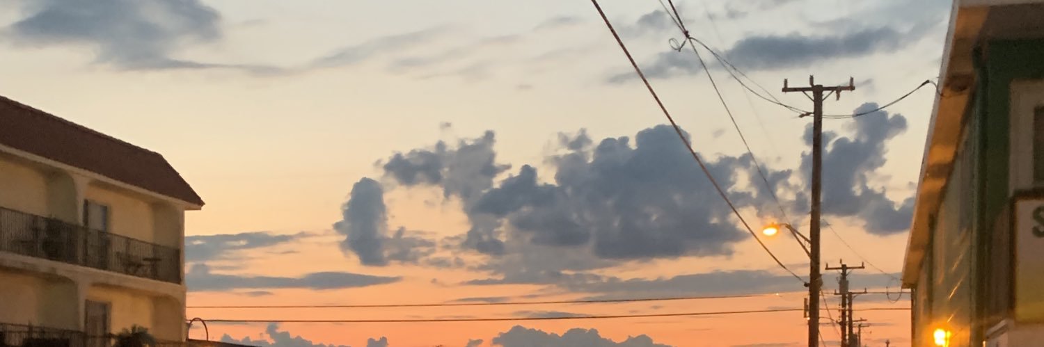 lewi banner
