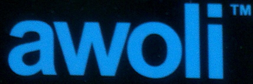 AWOLILABEL's profile banner image