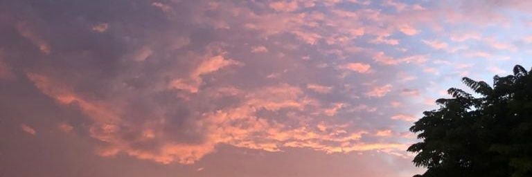 pingkanndr's profile banner image