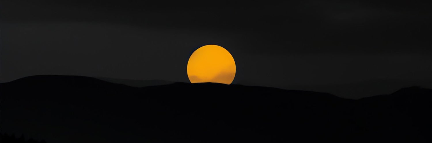 melonojg's profile banner image