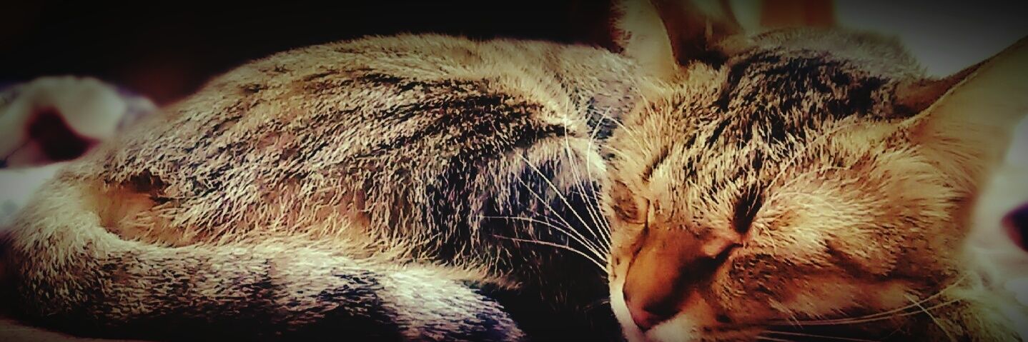 nicky850314's profile banner image