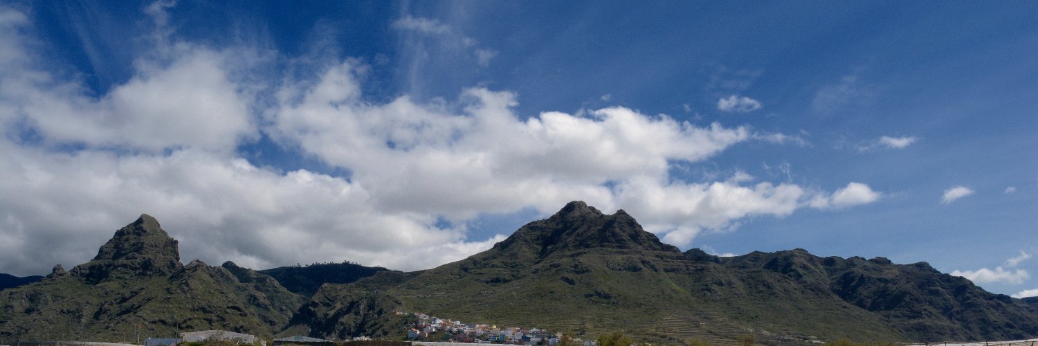 Ashley van Dyck banner