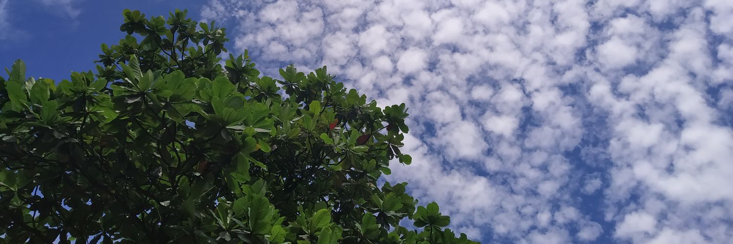 pravin3's profile banner image