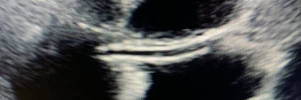 dr_adeebq Profile Banner