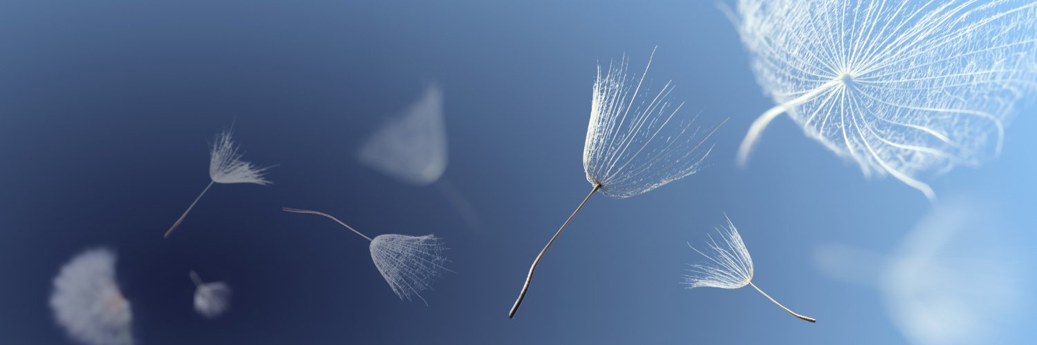Taryn Rose Frazier banner