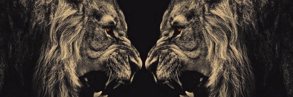 sennasaputra's profile banner image