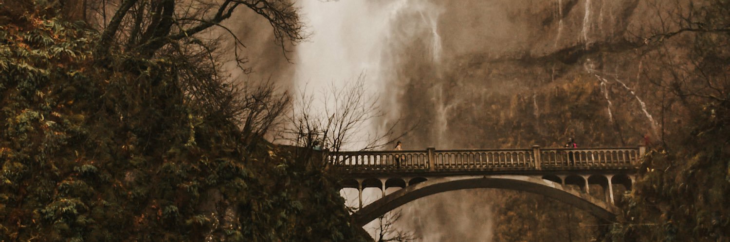 jezbuising's profile banner image