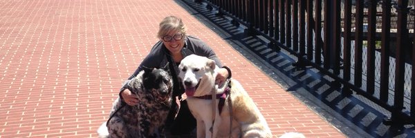 profmbtnyc Profile Banner