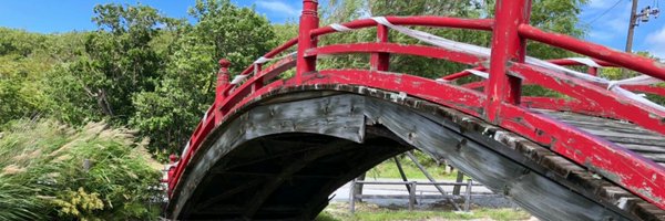 aychapu Profile Banner