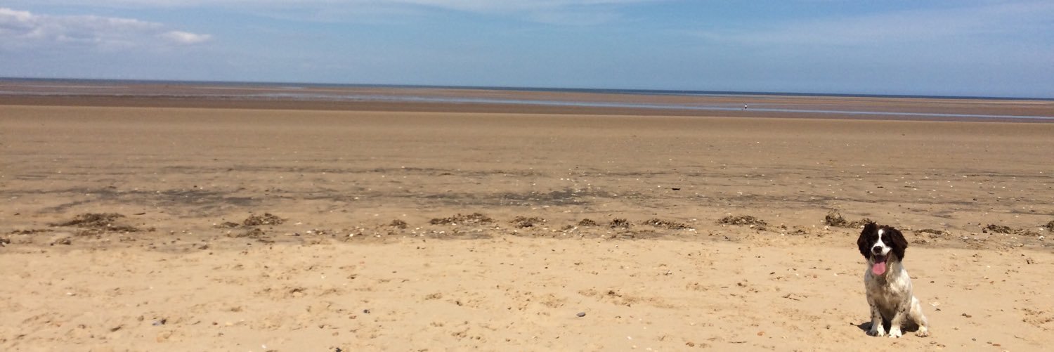 Simon Farebrother banner