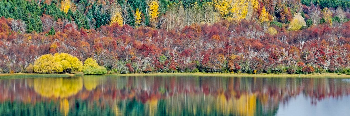 sofis_85's profile banner image