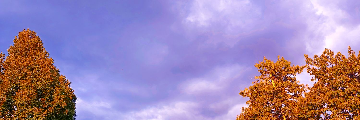 weavile2222's profile banner image