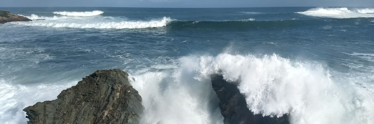PalomaDAND's profile banner image