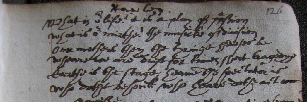 Nicole Hagstrom banner