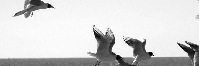 alfinr_'s profile banner image
