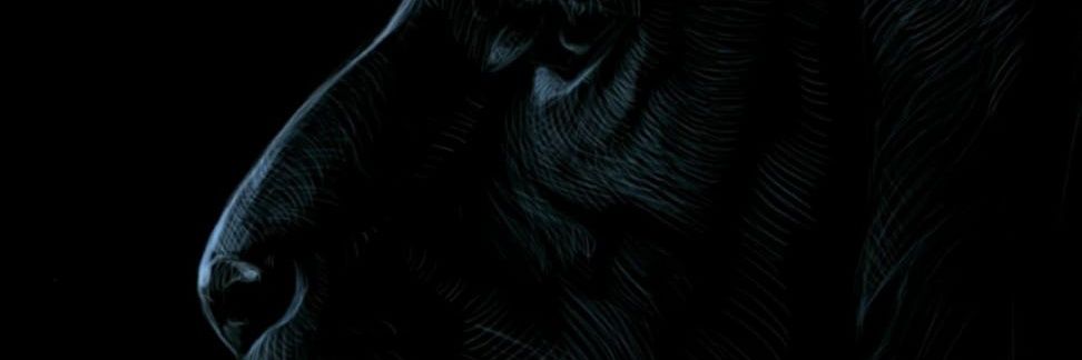 khells22's profile banner image