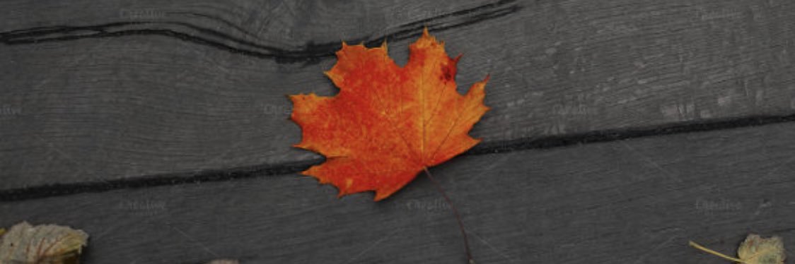 __kaygriff's profile banner image