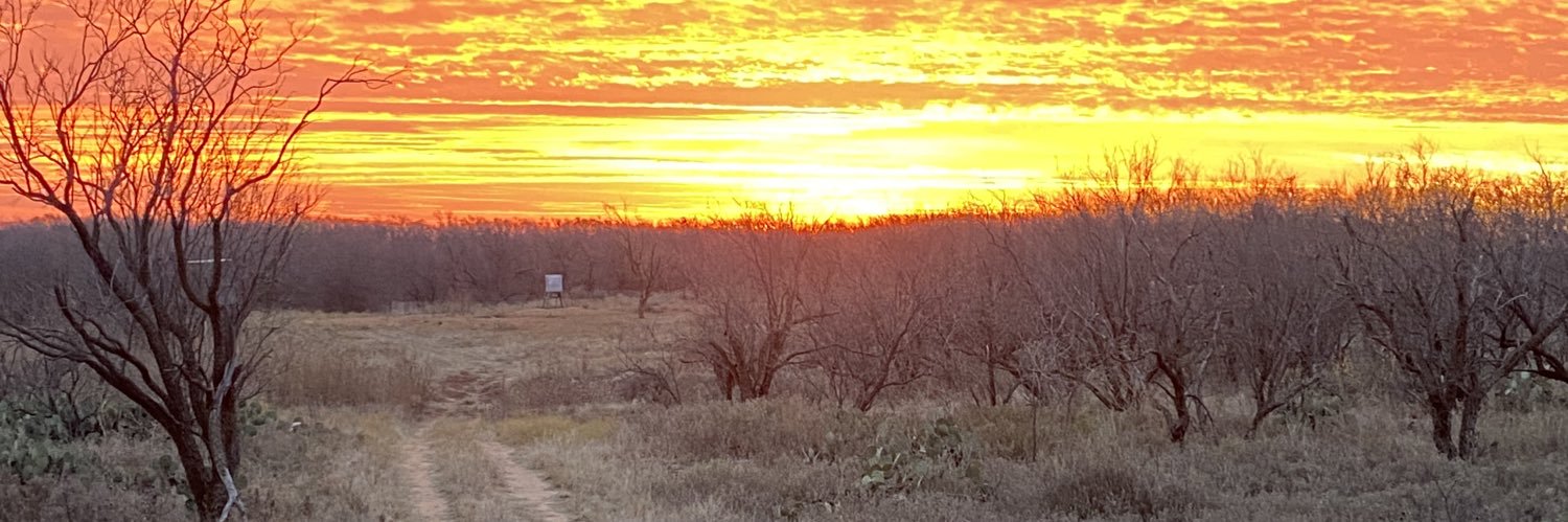 TripppDavis's profile banner image