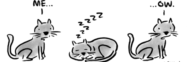 clingycat Profile Banner