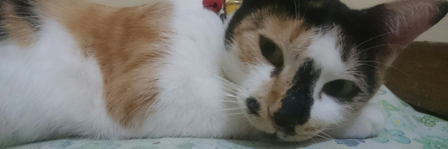 Sudiyah Istichomah🐈🌿🌼💜 banner