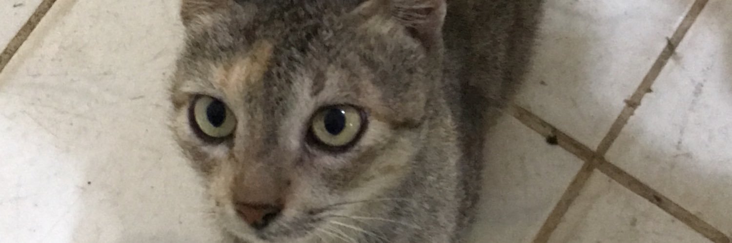 Borci2's profile banner image