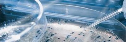 MAP_UMR5240's profile banner image