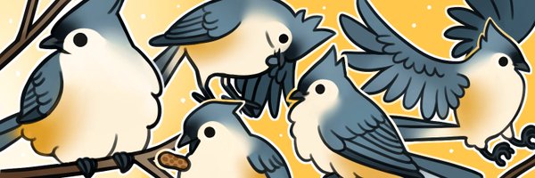 less_soft_bird Profile Banner