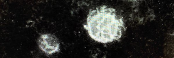 lorupeTEM Profile Banner