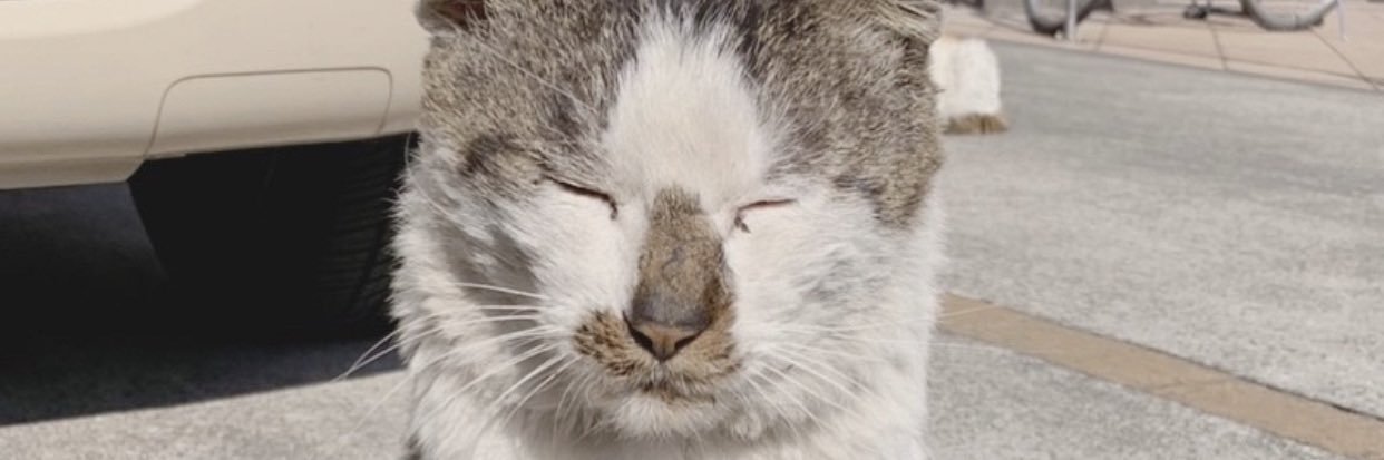 midsumidsum's profile banner image